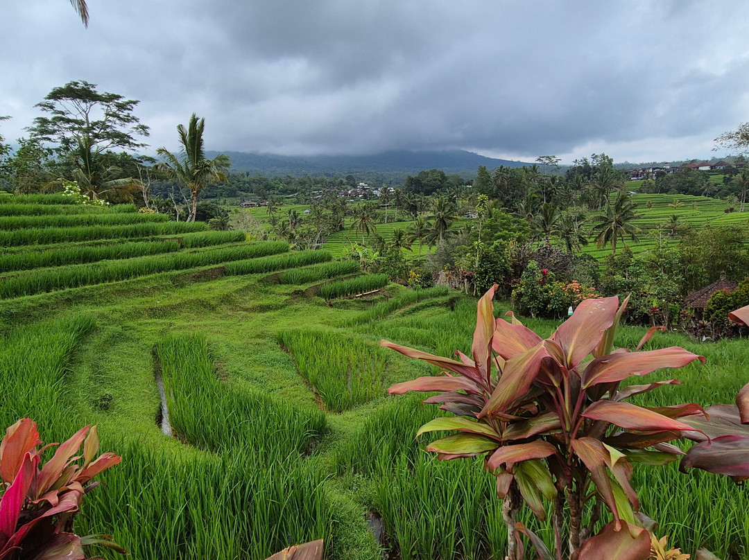 Bali Rêve-达巴南必去景点