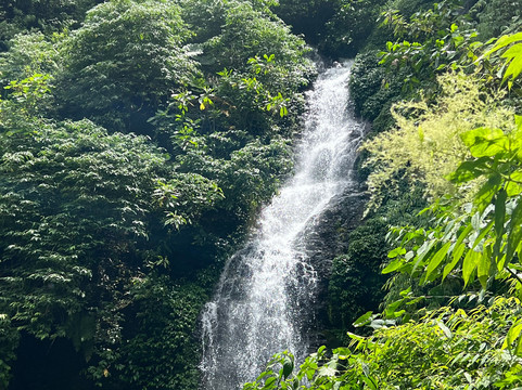 Pacific Trade Winds-Nuevo Arenal必去景点
