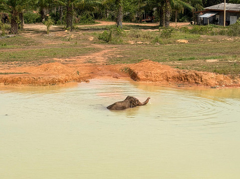 Following Giants - Krabi-Khlong Hin必去景点