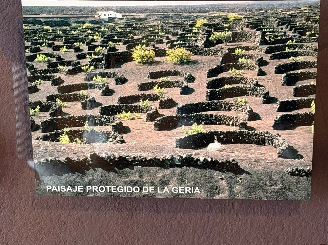 Centro de Interpretacion de Mancha Blanca-Tinajo必去景点