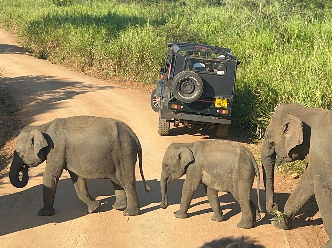 PS Tours Pasikuda-卡尔库达必去景点