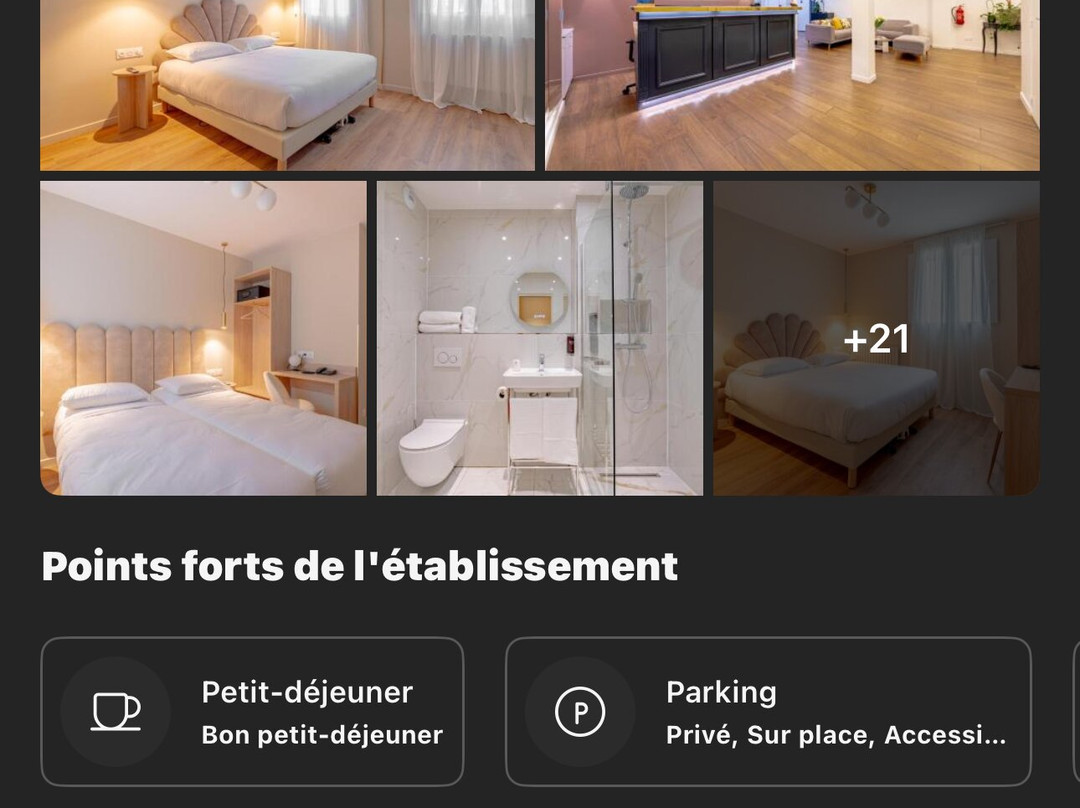 Grand Hotel Sénia - Paris Orly Airport主图