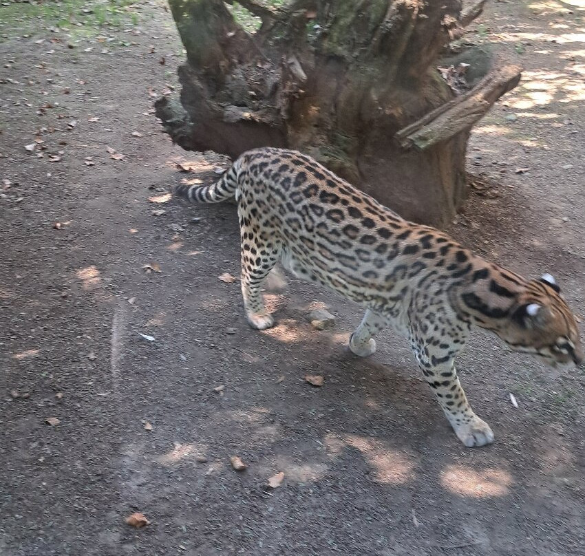 Parco Faunistico La Torbiera-Agrate Conturbia必去景点