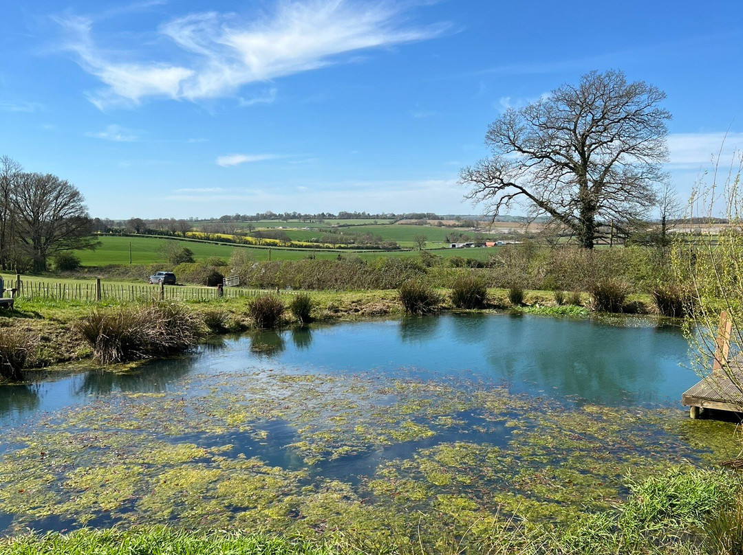 Hill Farm Glamping主图