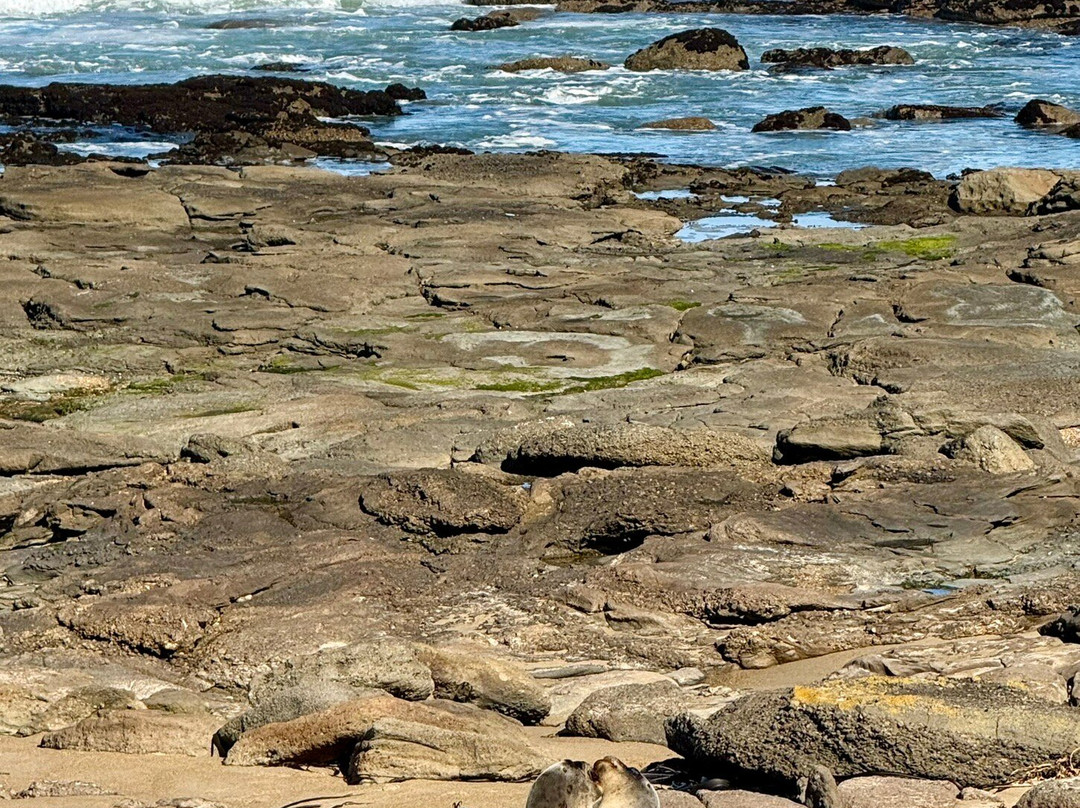 Waipapā Point Lighthouse-Otara必去景点