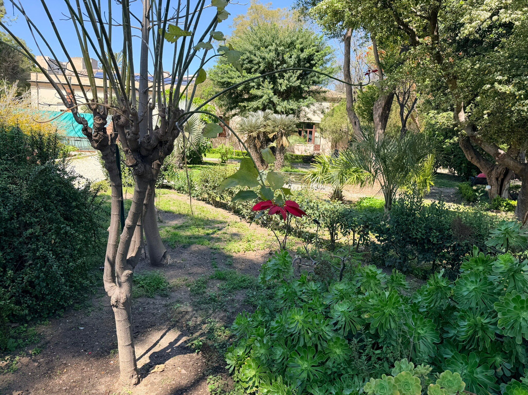Orto Botanico dell'Università di Catania-卡塔尼亚必去景点