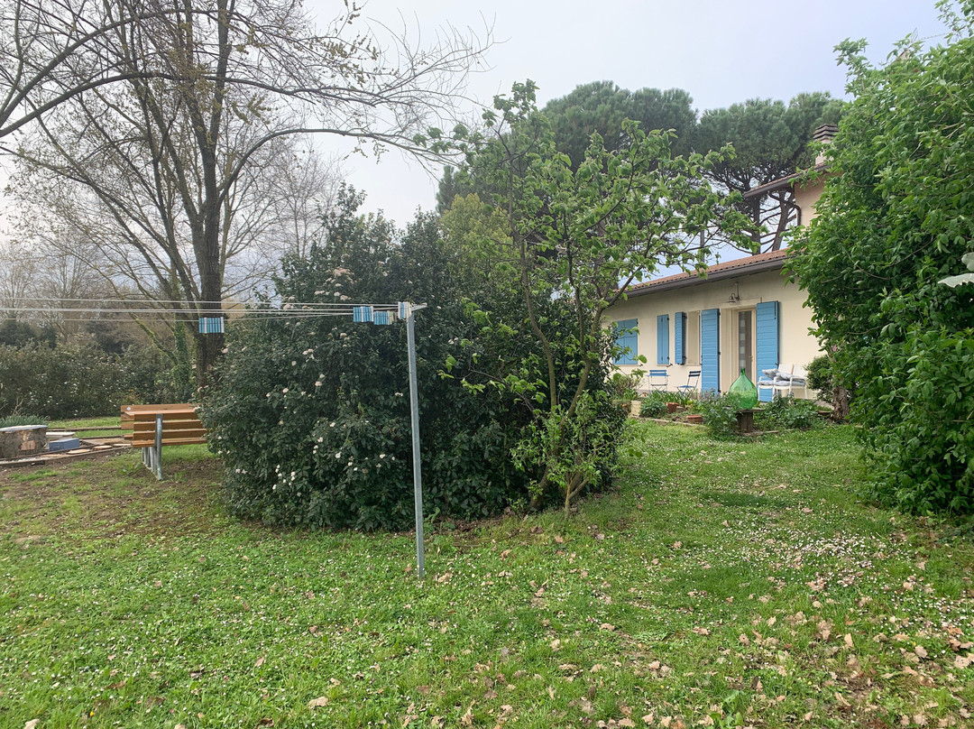 Al Gufo Saggio主图