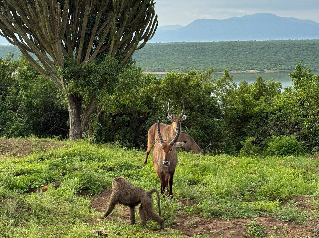 Africa Reveal Safaris-Namugongo必去景点