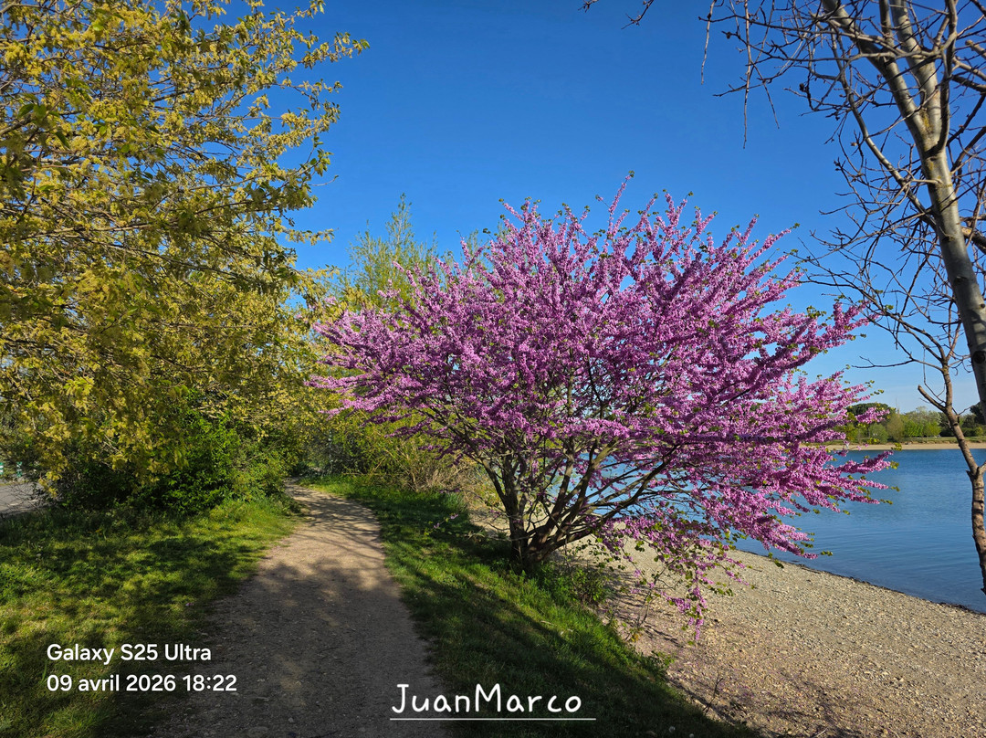 Base de sports et de loisirs de La Ramee-Tournefeuille必去景点