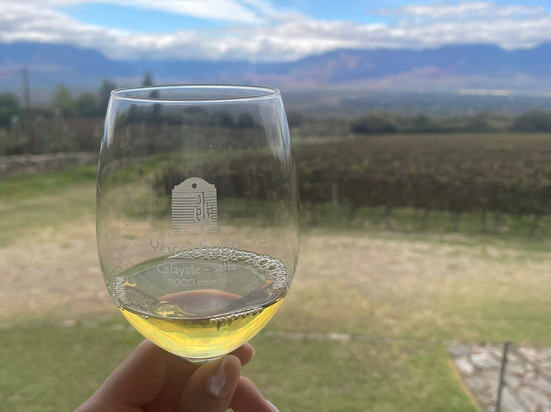 Bodega San Pedro de Yacochuya-卡法亚特必去景点