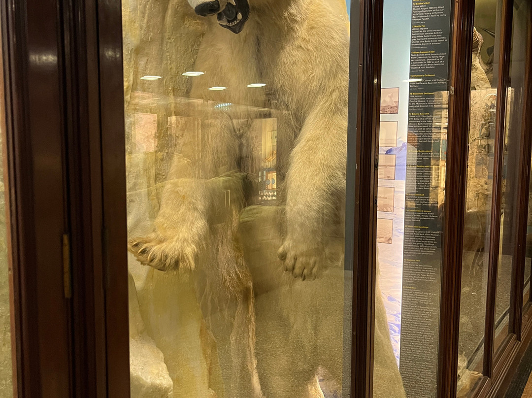 Norwich Castle Museum & Art Gallery-诺威奇必去景点