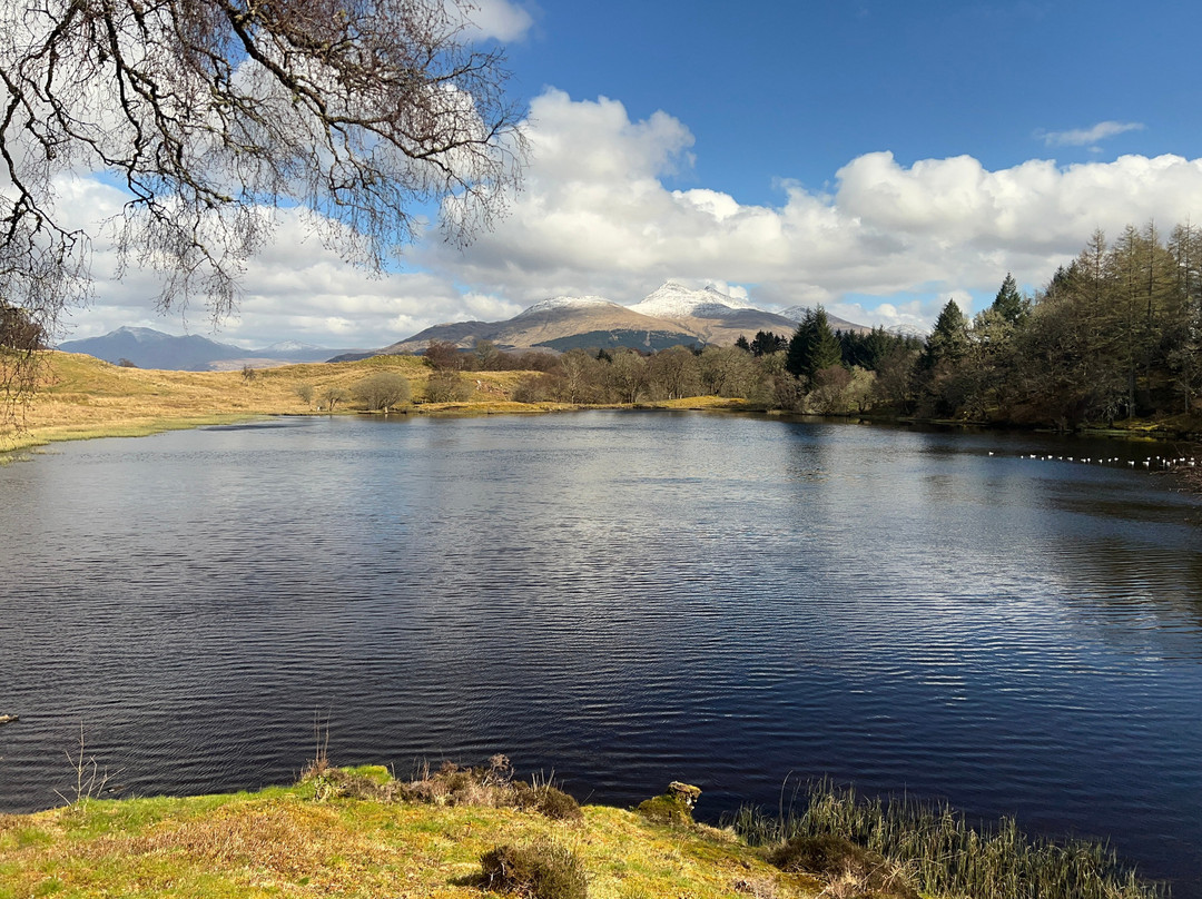 Angus's Garden, Barguillean-Taynuilt必去景点