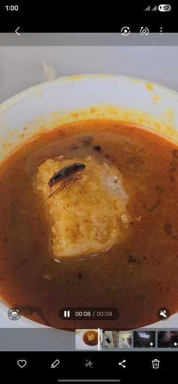 Treebo Chandraprasth 公寓-旅行者