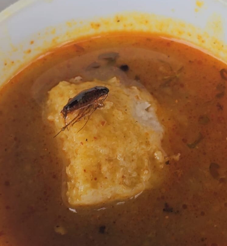 Treebo Chandraprasth 公寓主图