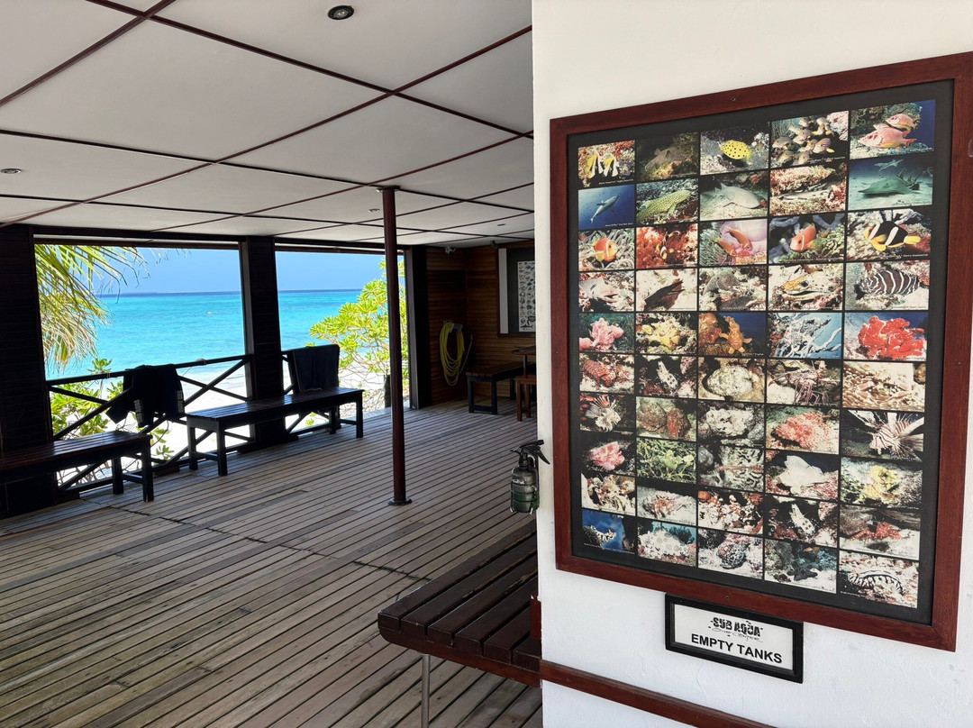 SUB AQUA DiveCenter Angaga-安嘎嘎岛必去景点