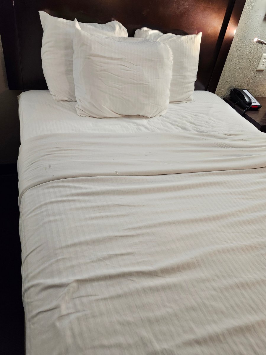 克莱蒙特贝斯特韦斯特酒店-旅行者