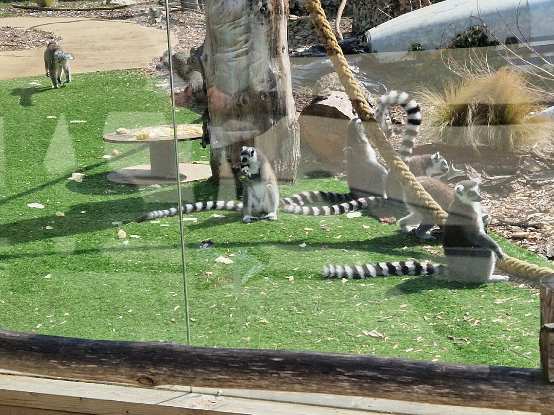 Knockhatch Adventure Park-Hailsham必去景点