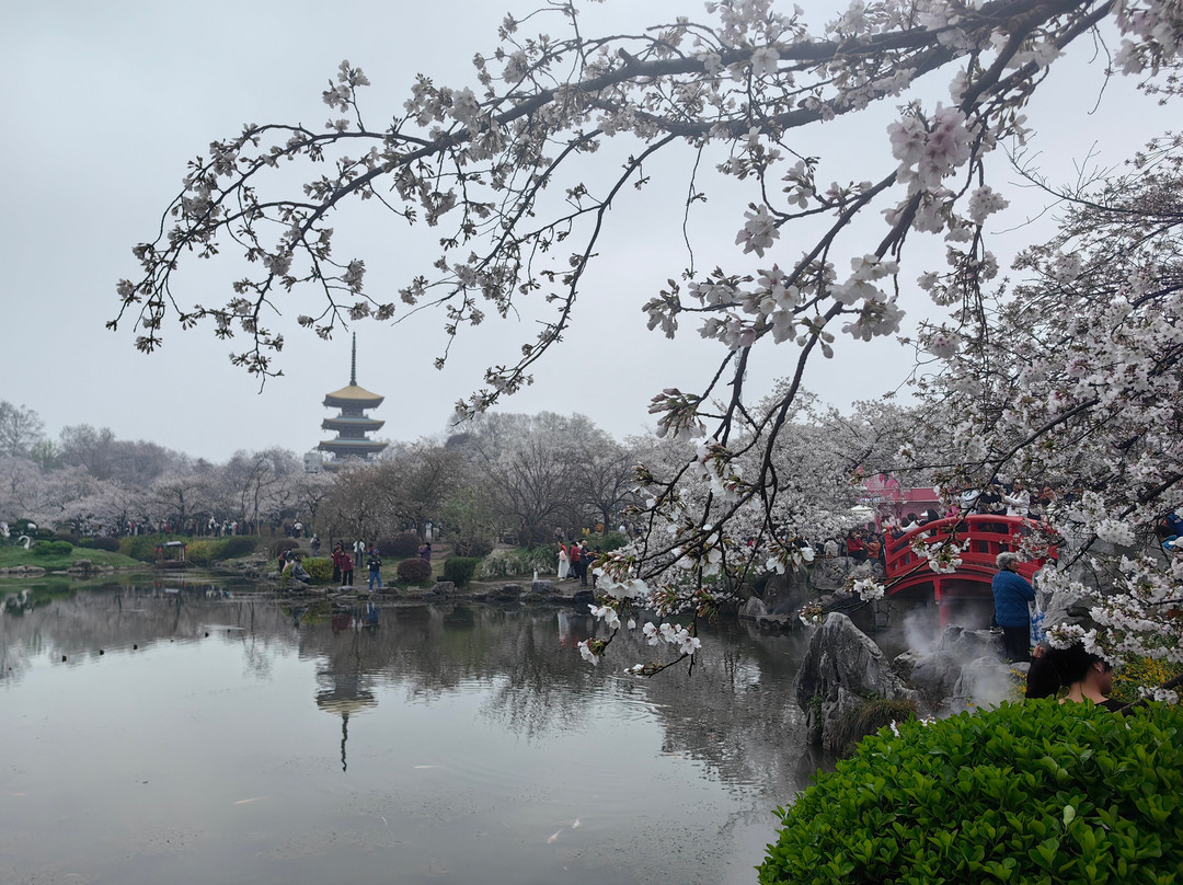 Easy Tour China-桂林市必去景点