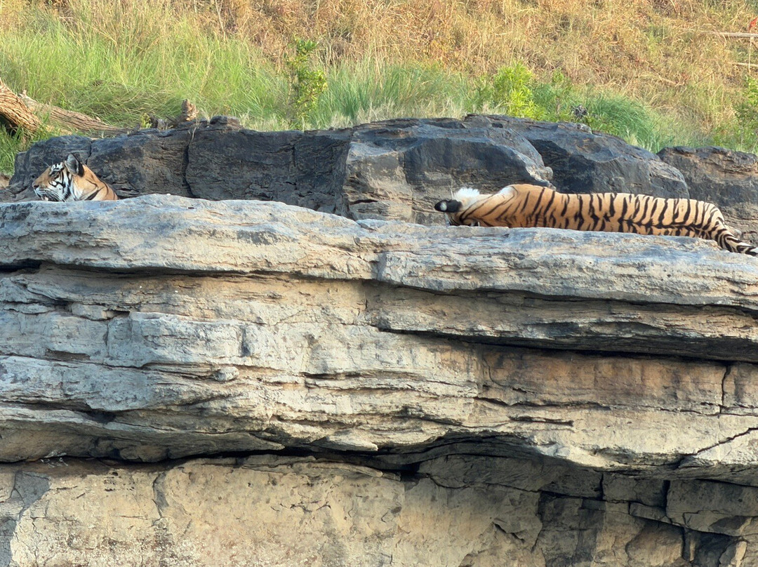 Panna National Park Safari-Madla必去景点