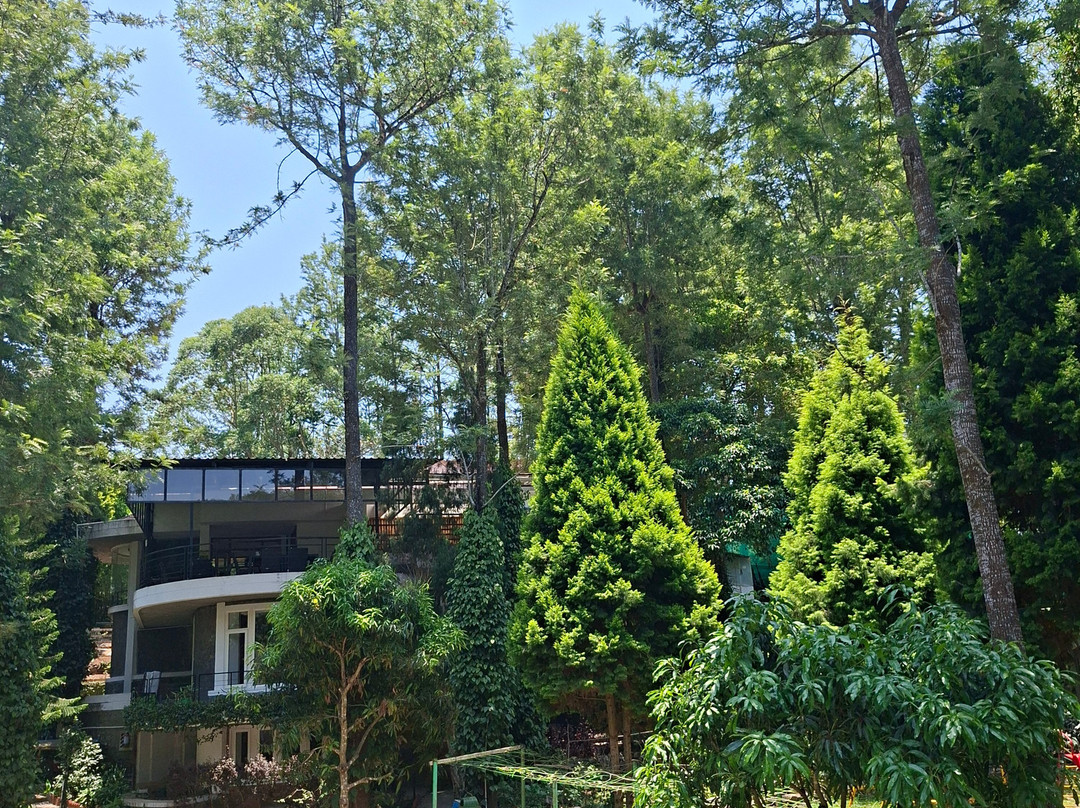 雅靠WOW比松林度假村主图