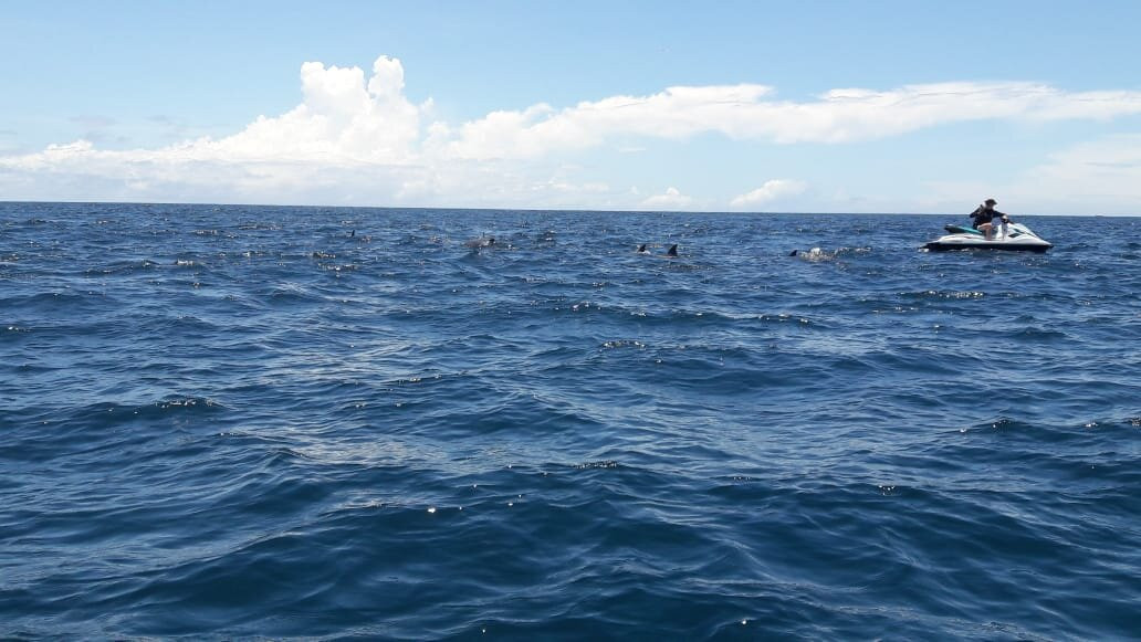 Freetyme Fishing Safaris & Water Sports-迪亚尼必去景点