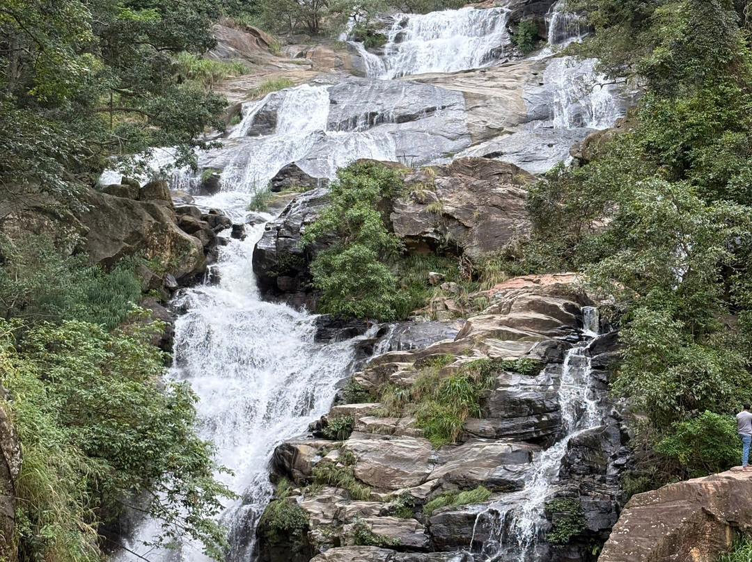 Guide in Sri Lanka Rathu & Olga Tours-贝卢瓦拉必去景点