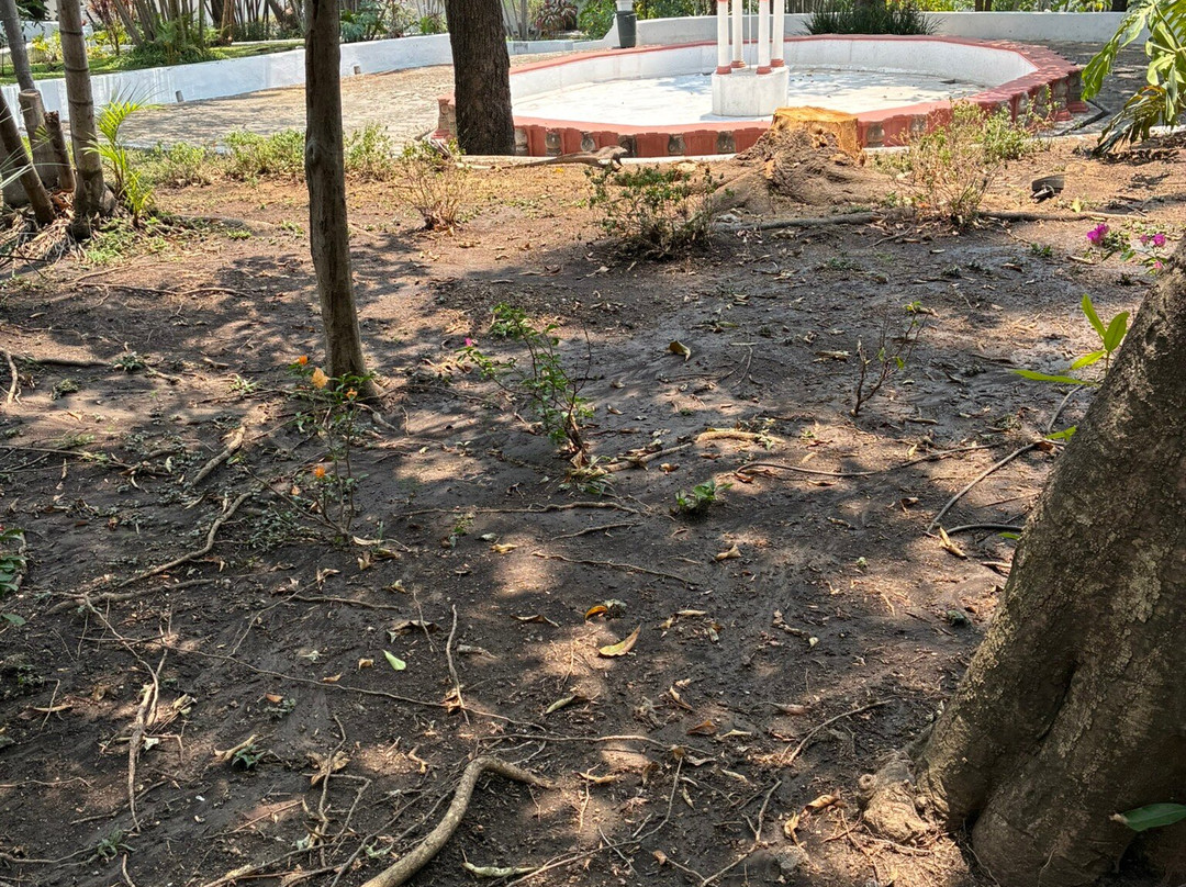 Garden Borda Cultural Center-奎尔纳瓦卡必去景点