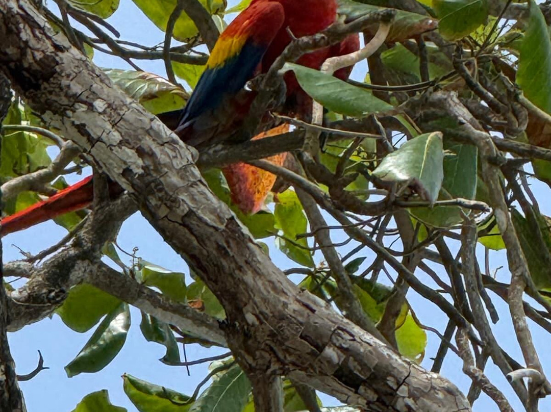 Surcos Tours-希门尼斯港必去景点