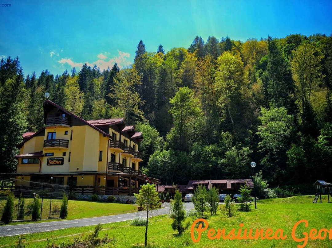 Pensiunea Geona