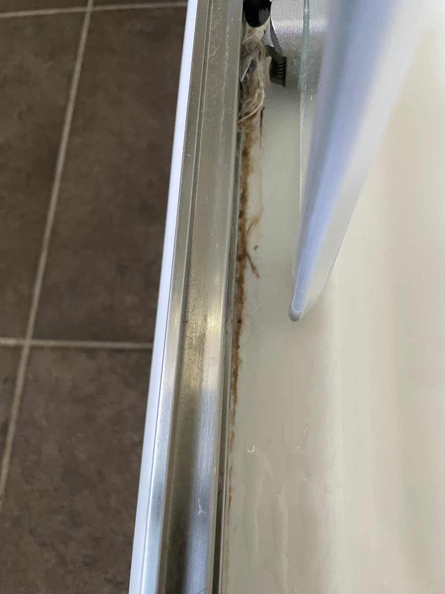 凯萨法兰兹乔瑟夫酒店-旅行者