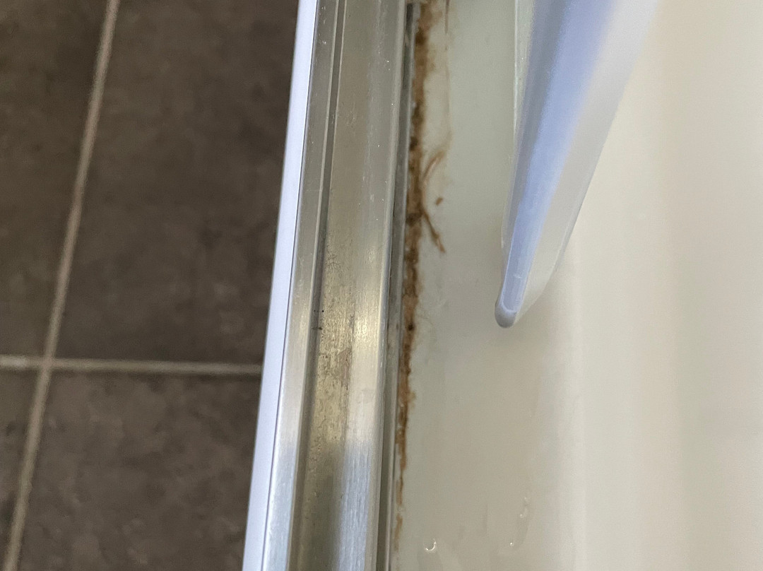 凯萨法兰兹乔瑟夫酒店主图