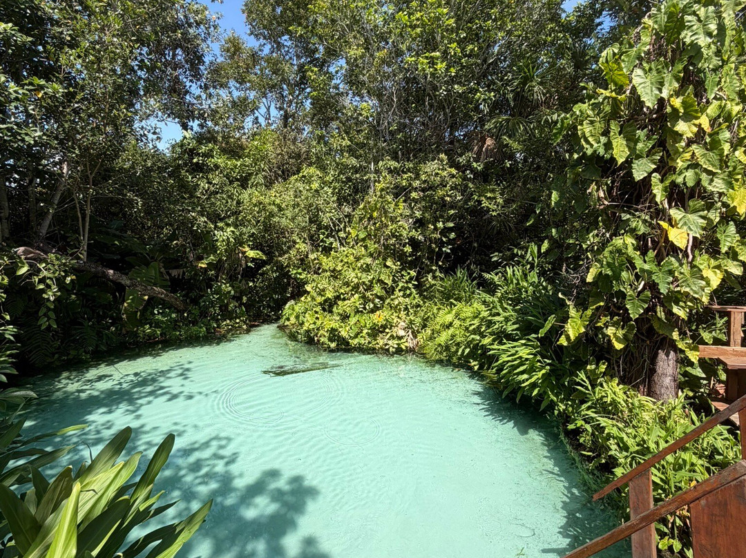 Cerrado Dourado Expedições-Jalapao State Park必去景点