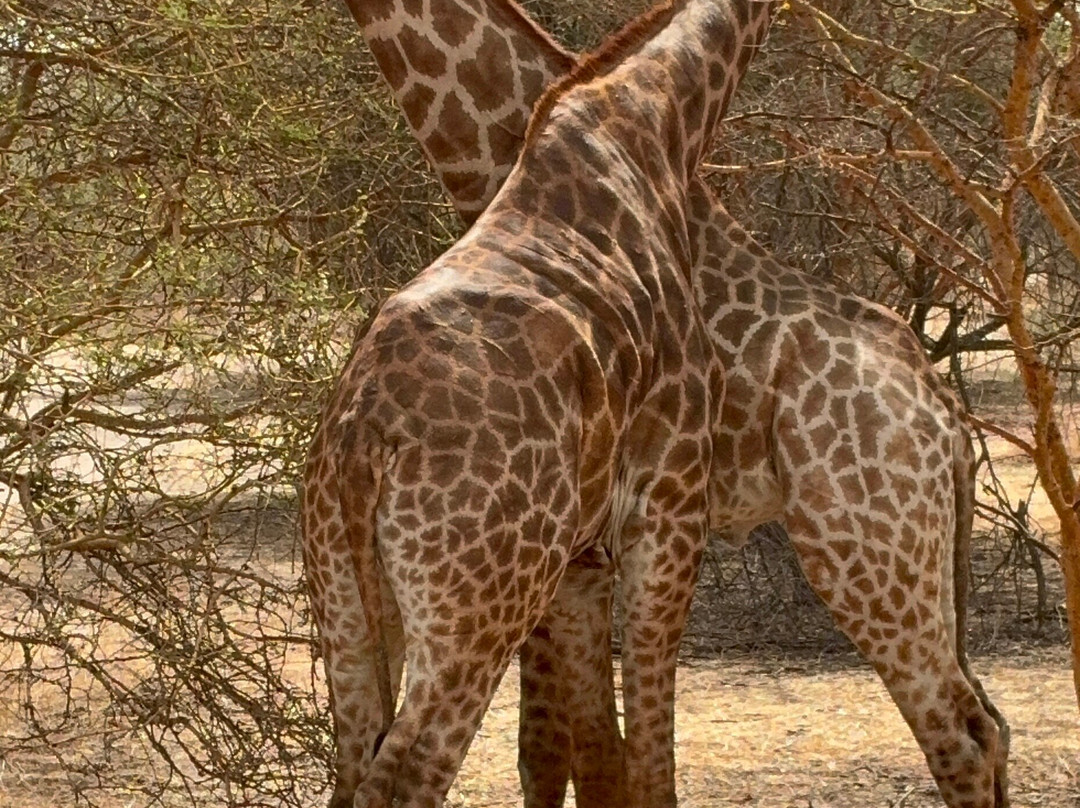 Happy Excursions Senegal-莫布瓦必去景点