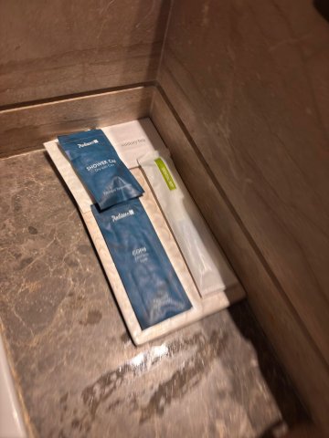 查漠丽笙酒店-旅行者