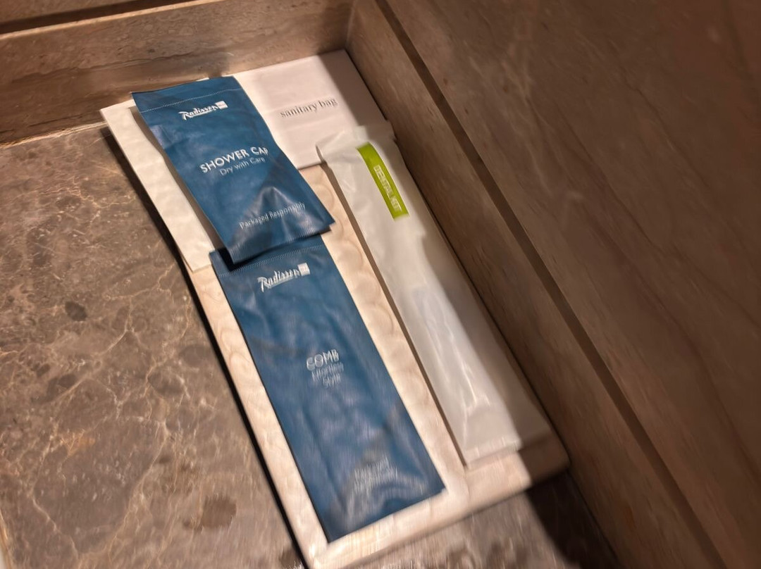 查漠丽笙酒店主图