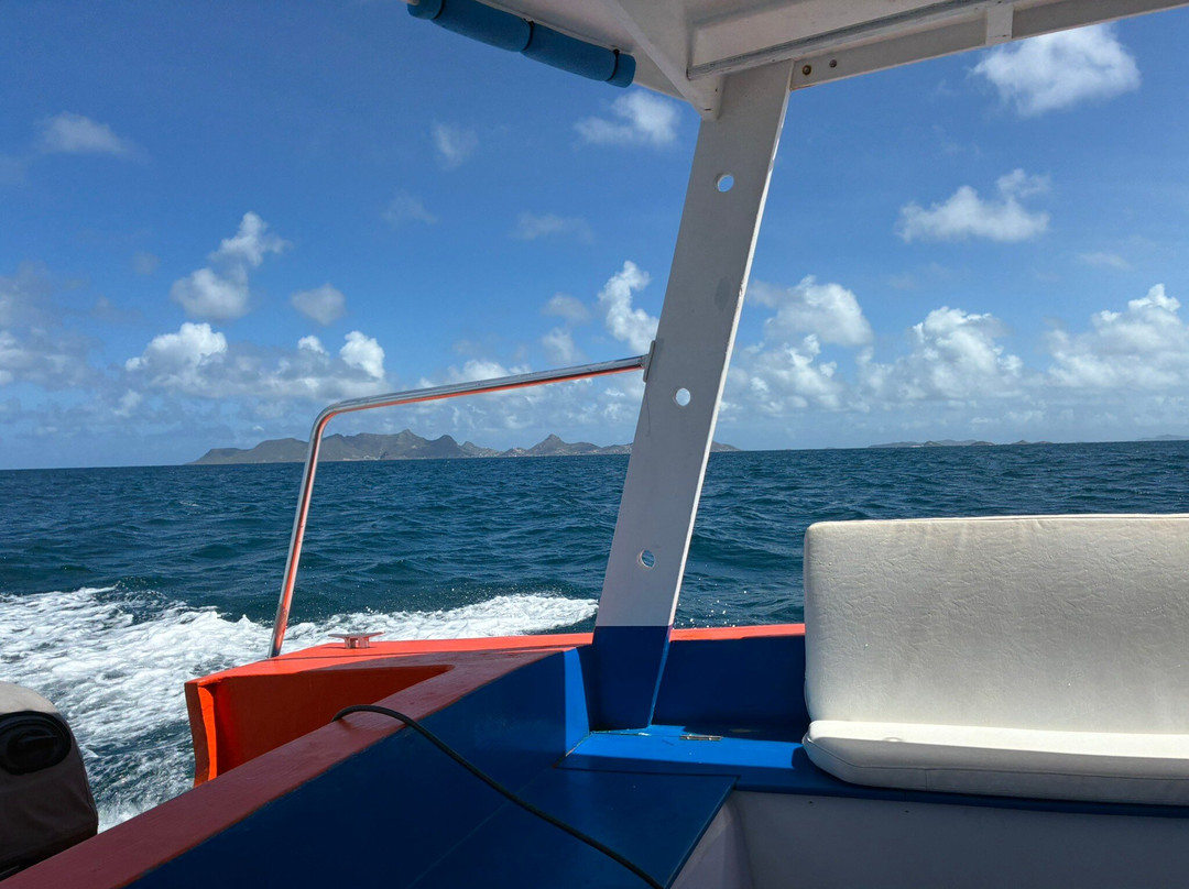 Froggy's Reef Tours and Snorkeling Carriacou-Carriacou Island必去景点