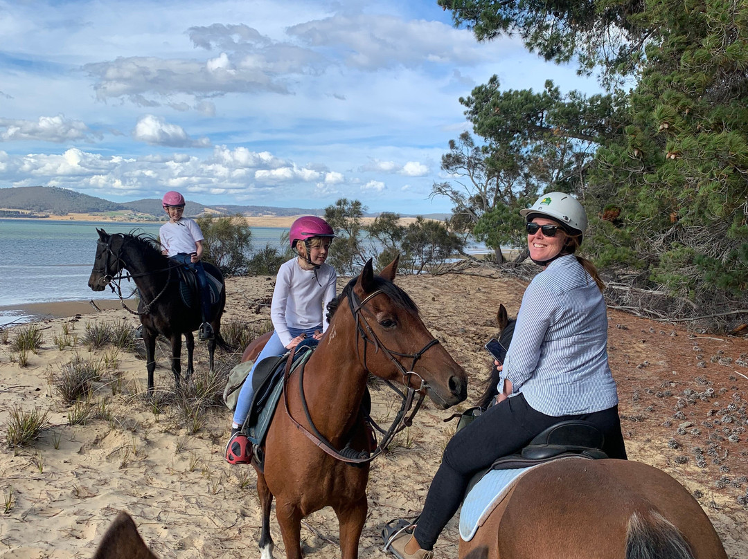 Horse Riding Tasmania-Woodsdale必去景点
