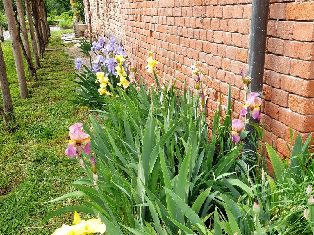 Giardino delle Essenze-Lagnasco必去景点