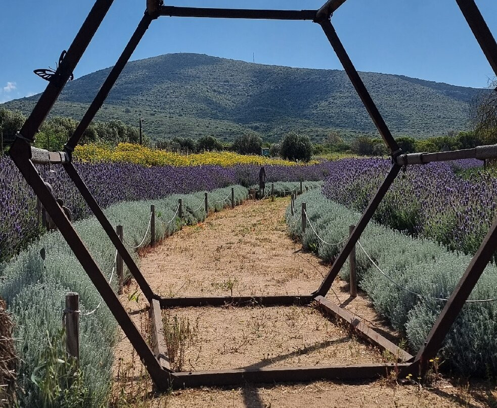 Bee Garden Alghero-阿尔盖罗必去景点