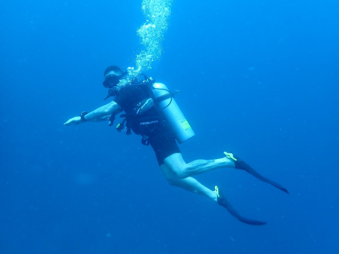 Diving Bluetribe Moofushi-南阿里环礁必去景点