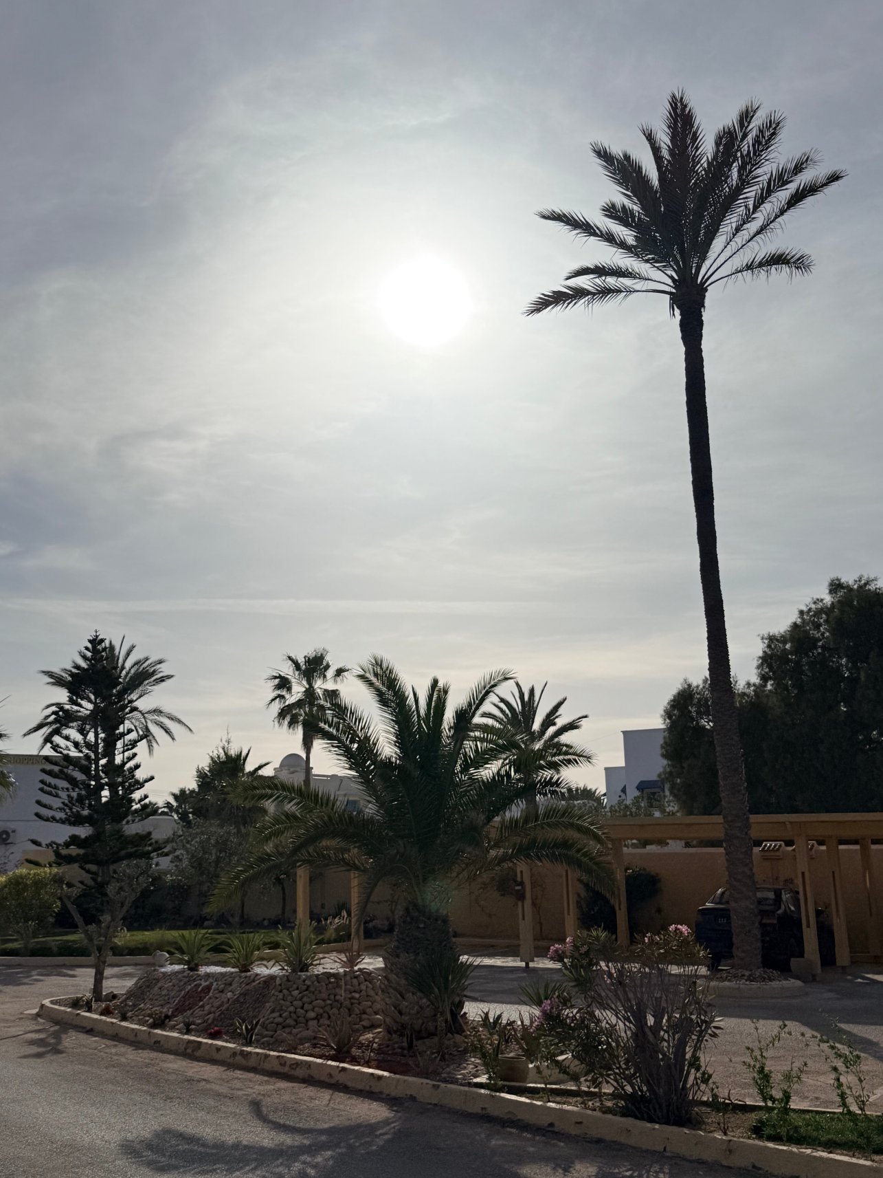 Télémaque Beach & Spa-旅行者
