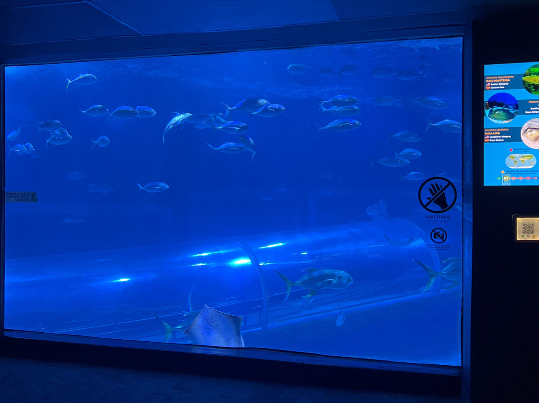 AquaRio-里约热内卢必去景点
