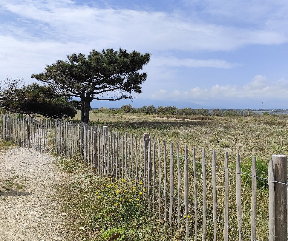 Étang de Canet - Saint-Nazaire.-Saint-Nazaire必去景点