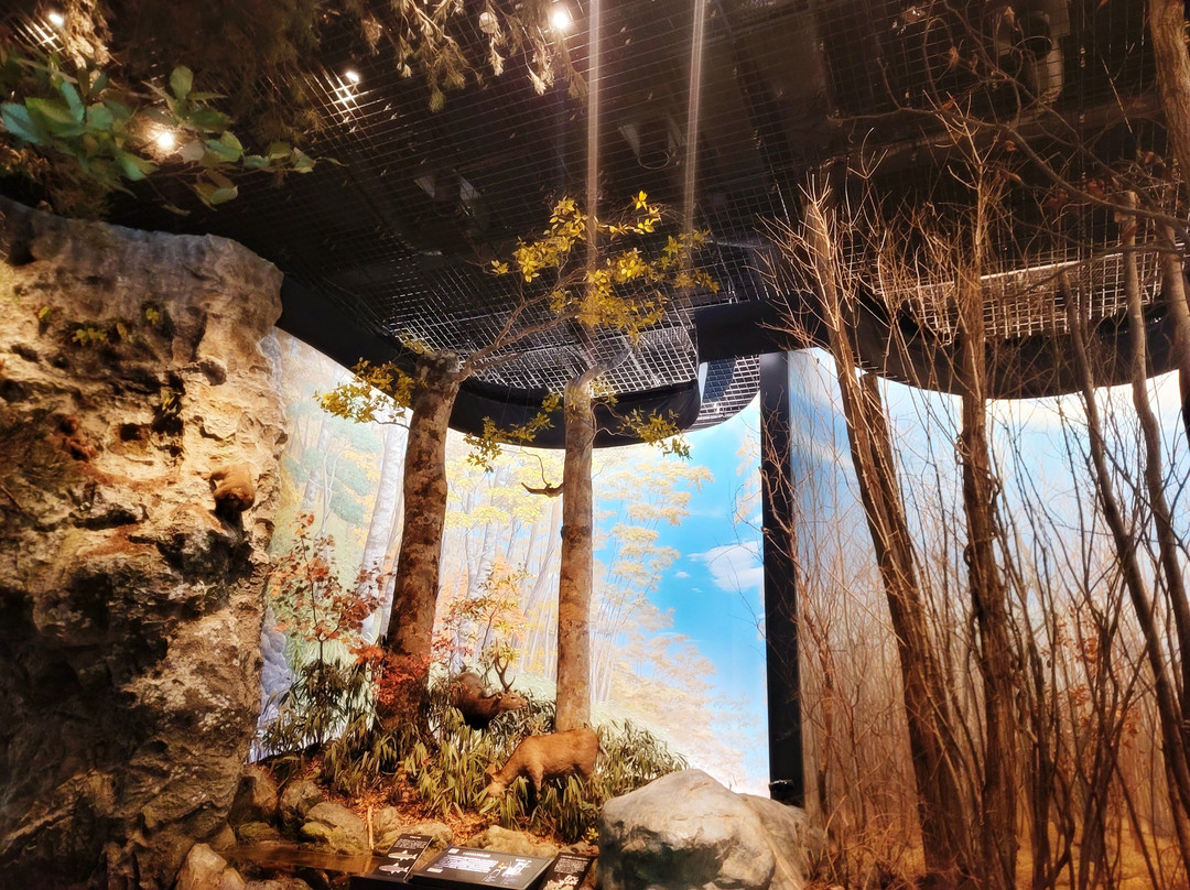Saitama Museum of Natural History-长瀞町必去景点
