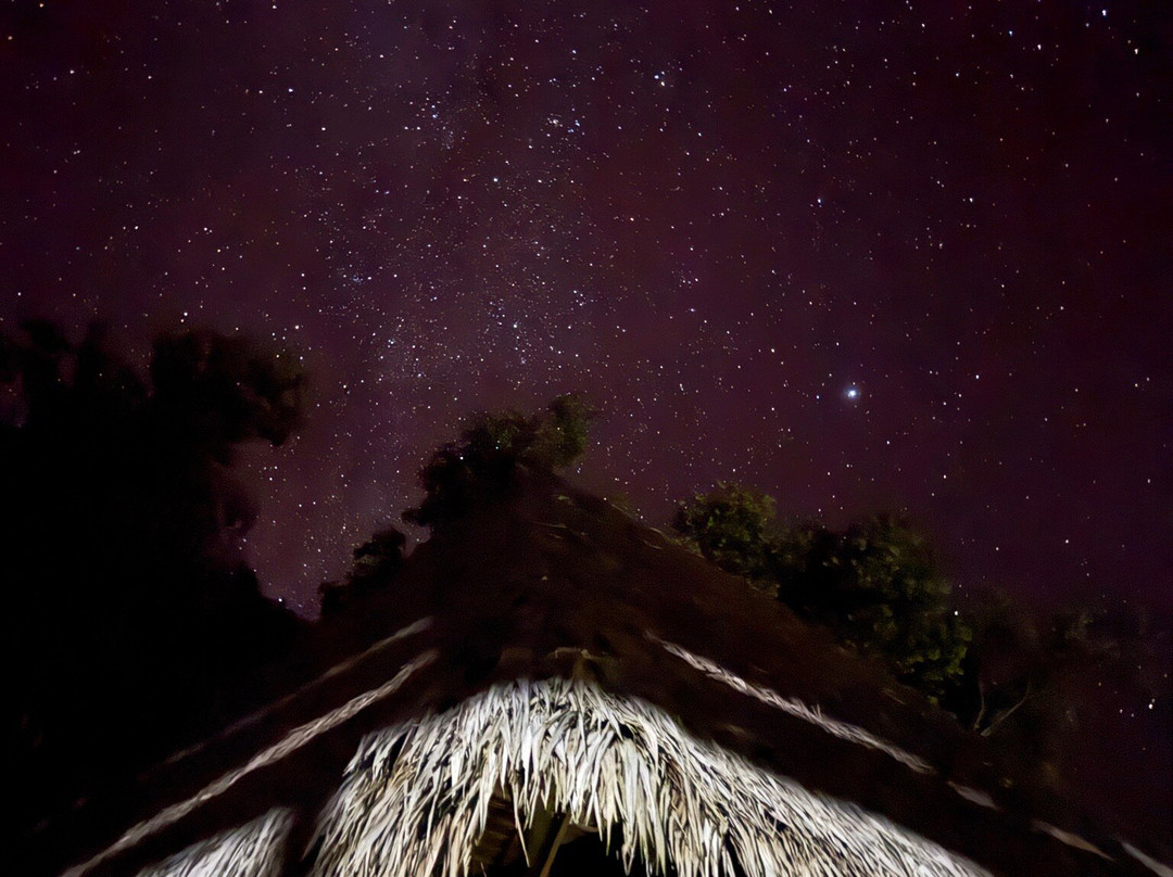 Amazon Fronteras Jungle Tours-莱蒂西亚必去景点