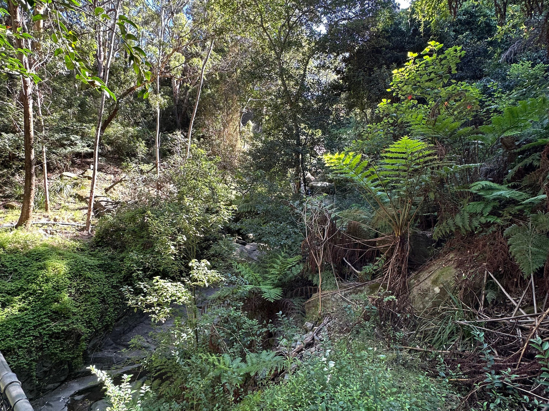 Willoughby falls