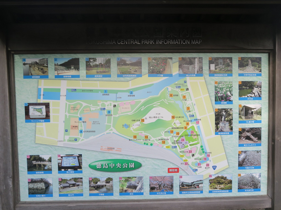 Ruins of Tokushima Castle-德岛市必去景点