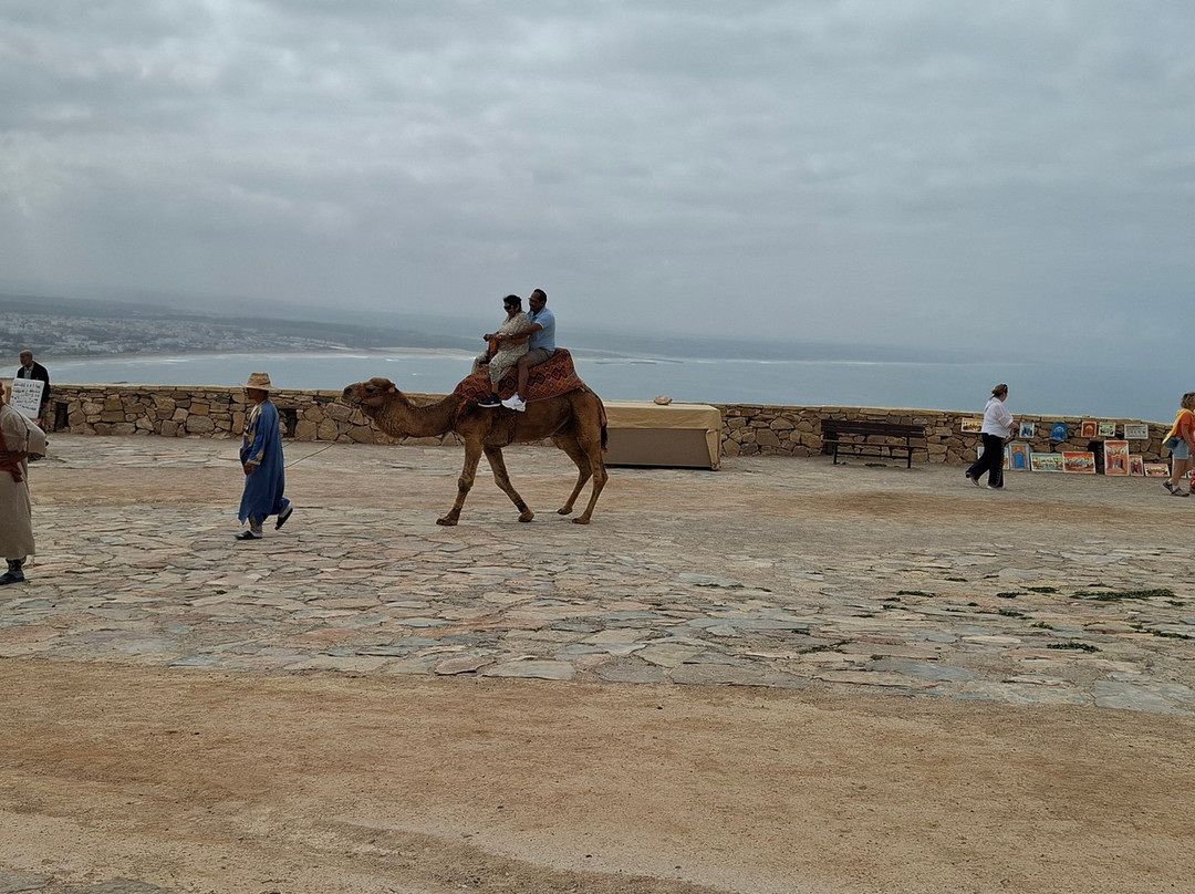 Kasbah Agadir Oufella-阿加迪尔必去景点