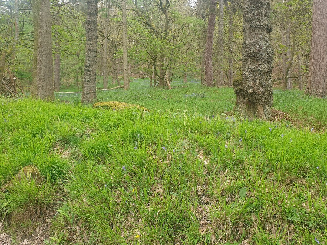 Hardcastle Crags-Hebden Bridge必去景点