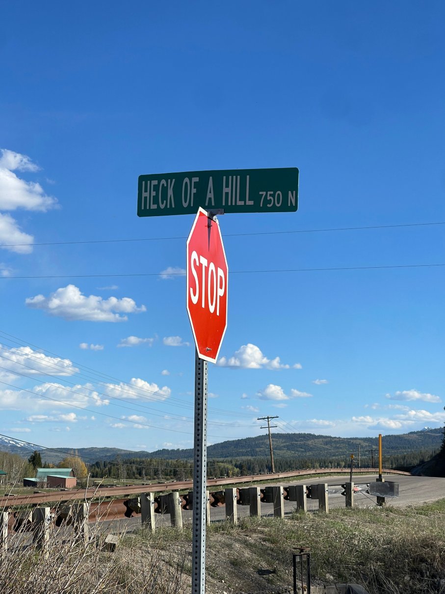 杰克逊逍遥酒店-旅行者